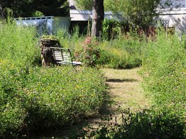 Insektenfreundlich, Bienennährweide, Sitzplatz im Grünen, Rasen