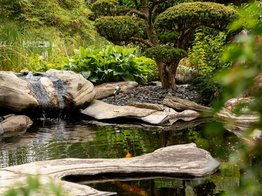 Koi, japanischer Garten, Zierfische, Gartenteich, exklusiver Garten, Japanischer Fächerahorn, Bonsai, Fische, Quellstein, Wasserlauf