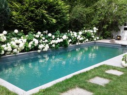 Naturpool, Annabelle-Hortensien, weißes Blütenmeer, Trittplatten, glasklares Wasser, Badespaß, Abkühlung