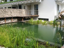 Naturteich, Swimming-Teich, Swimming-Pond, Biotop, Pflanzenfilter, chemiefrei, chlorfrei, Natursteinmauer, Schleitzer