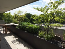Dachbepflanzung, Dachterrasse, Balkon, Gartenmöbel, Gartenbepflanzung, Kübelbepflanzung
